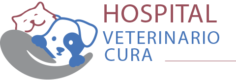 Hospital Veterinário Cura